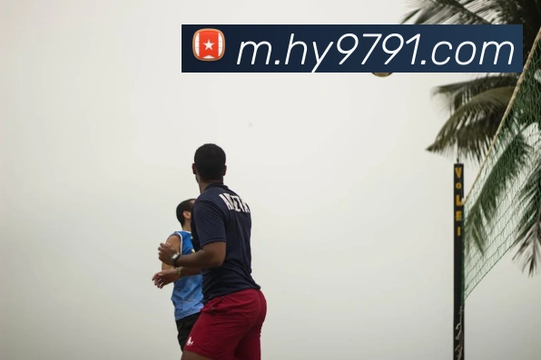 好运彩官网平台生态图